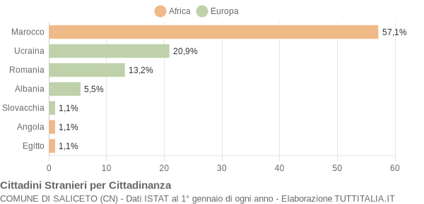 Grafico cittadinanza stranieri - Saliceto 2009