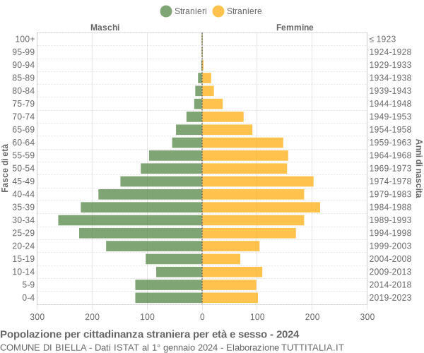 Grafico cittadini stranieri - Biella 2024