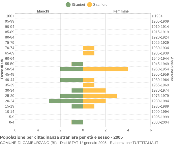 Grafico cittadini stranieri - Camburzano 2005