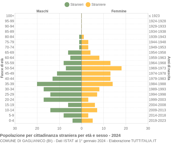 Grafico cittadini stranieri - Gaglianico 2024