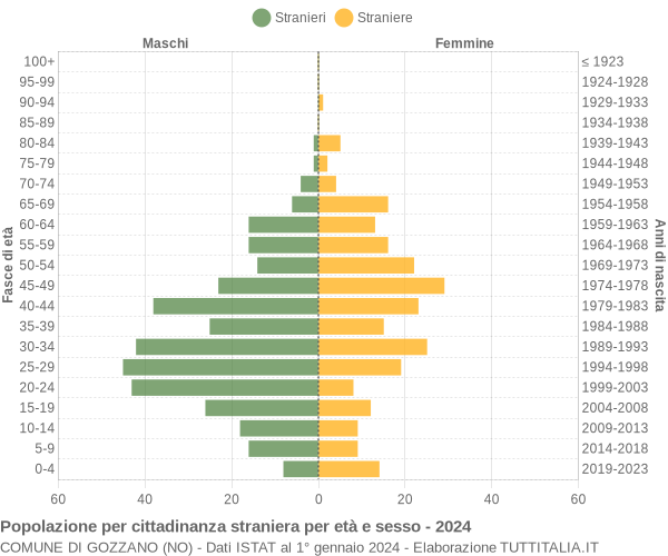 Grafico cittadini stranieri - Gozzano 2024