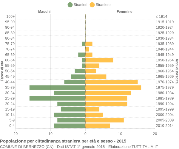 Grafico cittadini stranieri - Bernezzo 2015