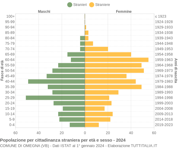 Grafico cittadini stranieri - Omegna 2024