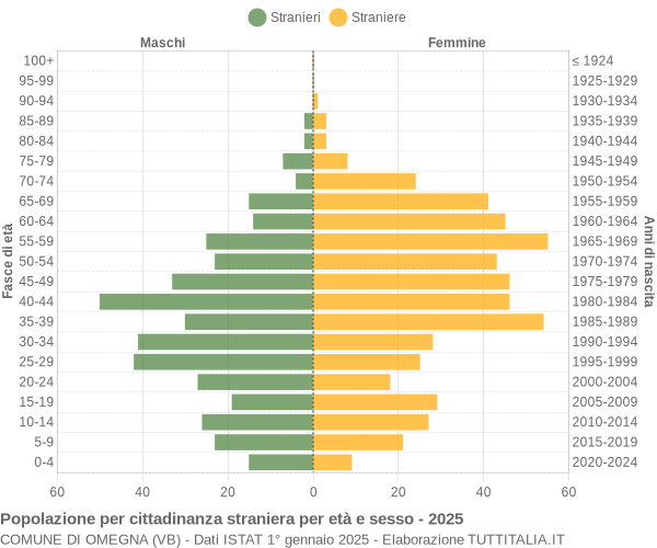 Grafico cittadini stranieri - Omegna 2025