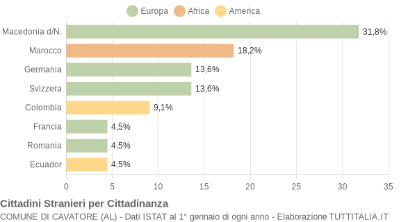 Grafico cittadinanza stranieri - Cavatore 2006