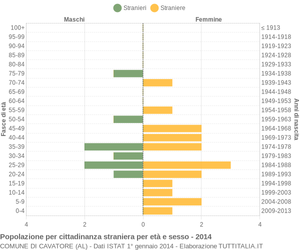 Grafico cittadini stranieri - Cavatore 2014