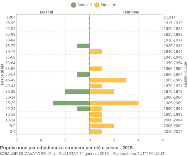 Grafico cittadini stranieri - Cavatore 2015