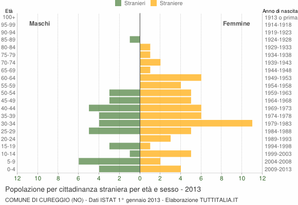 Grafico cittadini stranieri - Cureggio 2013