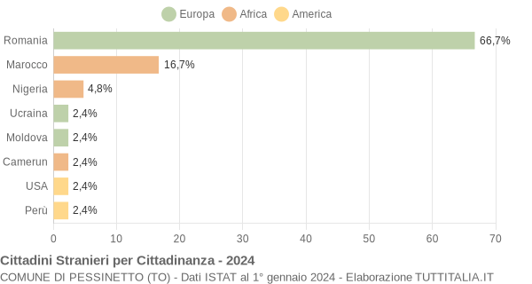 Grafico cittadinanza stranieri - Pessinetto 2024