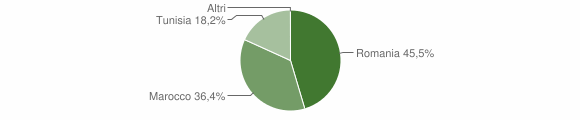 Grafico cittadinanza stranieri - Ternengo 2012
