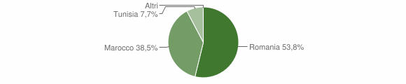 Grafico cittadinanza stranieri - Ternengo 2013