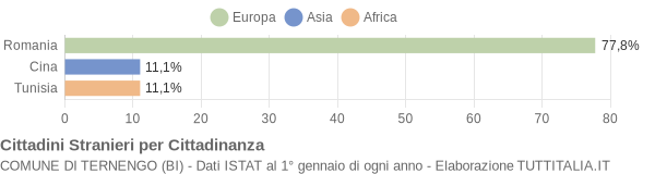 Grafico cittadinanza stranieri - Ternengo 2017