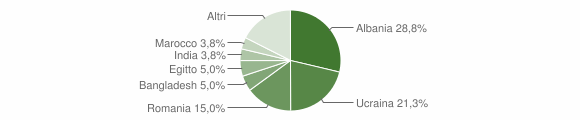 Grafico cittadinanza stranieri - Vicolungo 2011