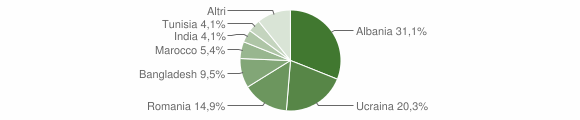 Grafico cittadinanza stranieri - Vicolungo 2012