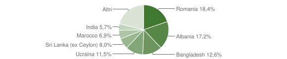 Grafico cittadinanza stranieri - Vicolungo 2023