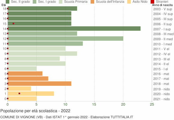 Grafico Popolazione in età scolastica - Vignone 2022
