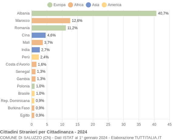 Grafico cittadinanza stranieri - Saluzzo 2024