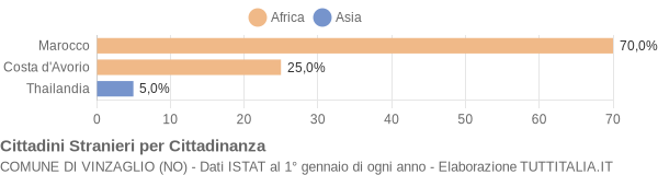 Grafico cittadinanza stranieri - Vinzaglio 2004