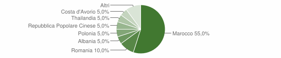 Grafico cittadinanza stranieri - Vinzaglio 2009