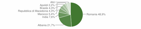 Grafico cittadinanza stranieri - Casalgrasso 2009