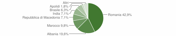 Grafico cittadinanza stranieri - Casalgrasso 2010