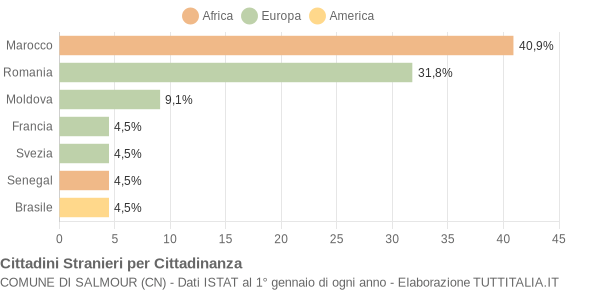 Grafico cittadinanza stranieri - Salmour 2004