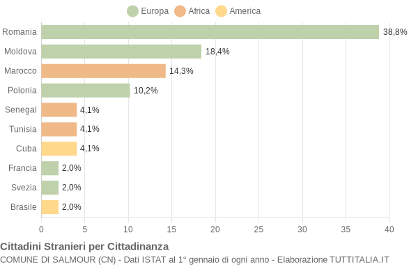 Grafico cittadinanza stranieri - Salmour 2008