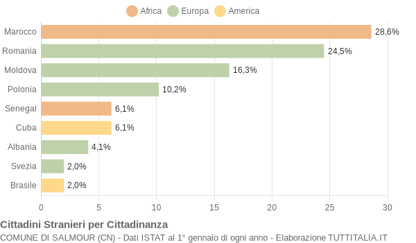 Grafico cittadinanza stranieri - Salmour 2010