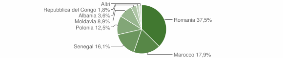 Grafico cittadinanza stranieri - Salmour 2012