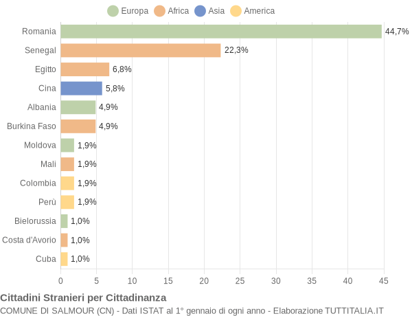 Grafico cittadinanza stranieri - Salmour 2022