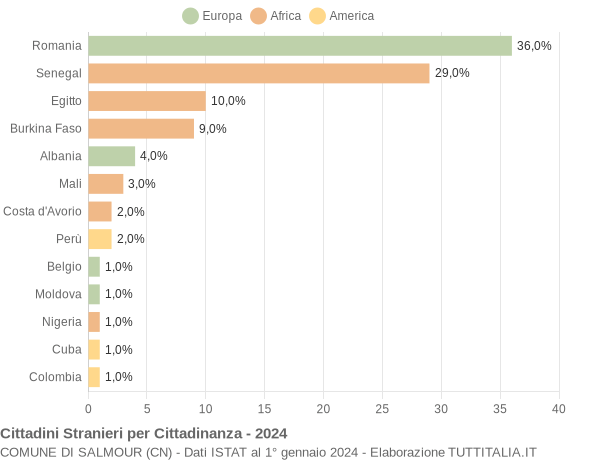 Grafico cittadinanza stranieri - Salmour 2024