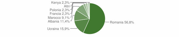 Grafico cittadinanza stranieri - Vauda Canavese 2010
