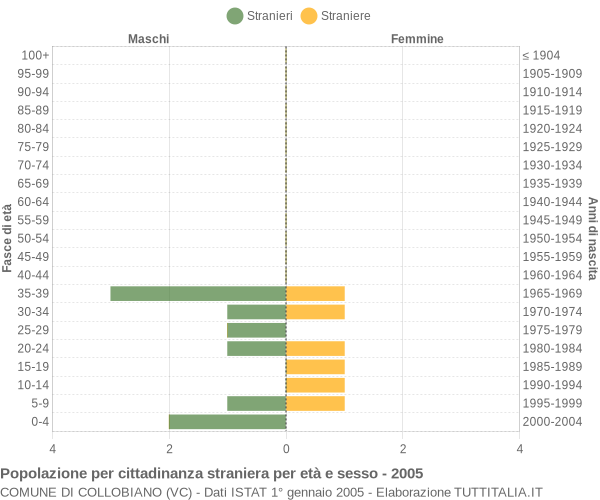 Grafico cittadini stranieri - Collobiano 2005
