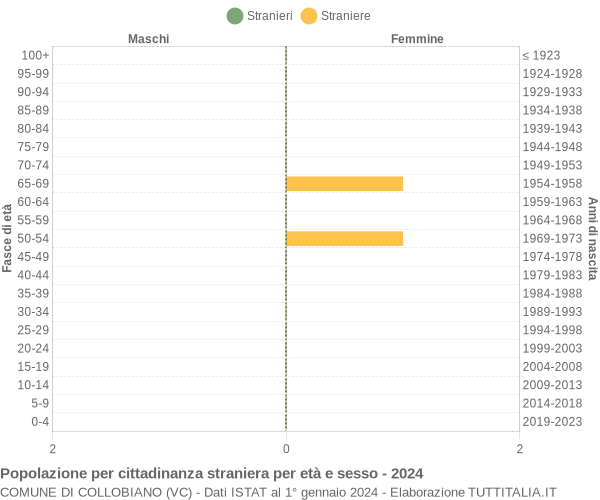 Grafico cittadini stranieri - Collobiano 2024