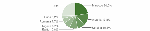 Grafico cittadinanza stranieri - Vespolate 2010
