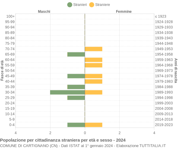 Grafico cittadini stranieri - Cartignano 2024