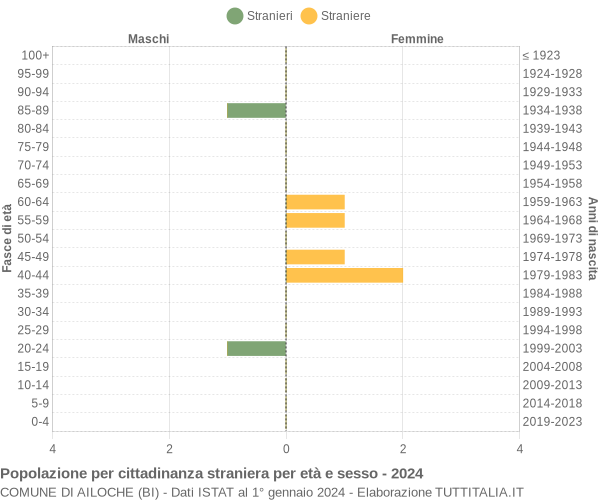 Grafico cittadini stranieri - Ailoche 2024