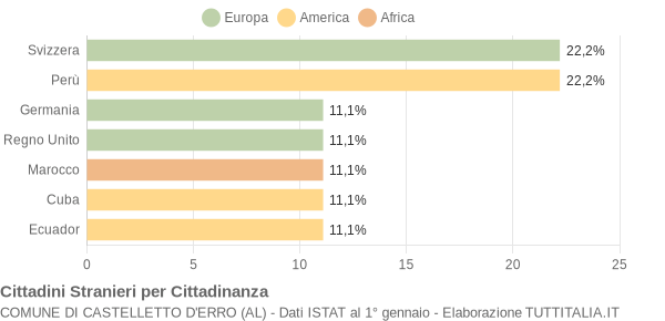 Grafico cittadinanza stranieri - Castelletto d'Erro 2007