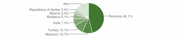 Grafico cittadinanza stranieri - Predosa 2013