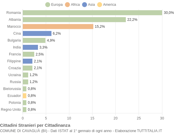 Grafico cittadinanza stranieri - Cavaglià 2008