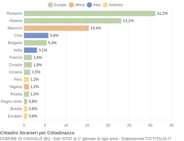 Grafico cittadinanza stranieri - Cavaglià 2009