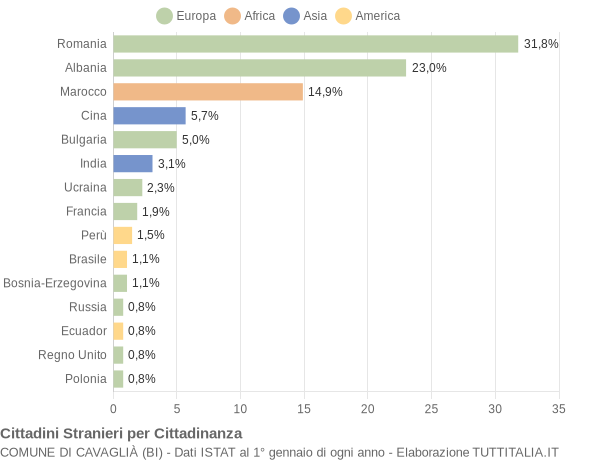 Grafico cittadinanza stranieri - Cavaglià 2010