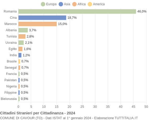 Grafico cittadinanza stranieri - Cavour 2024