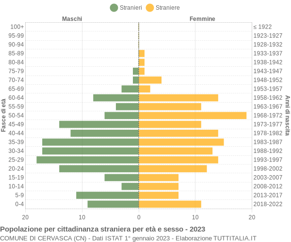 Grafico cittadini stranieri - Cervasca 2023