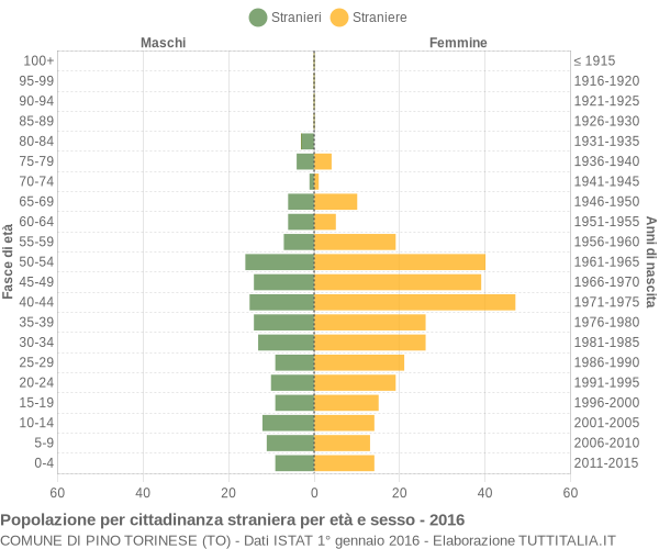 Grafico cittadini stranieri - Pino Torinese 2016