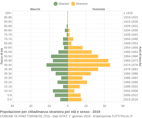 Grafico cittadini stranieri - Pino Torinese 2019