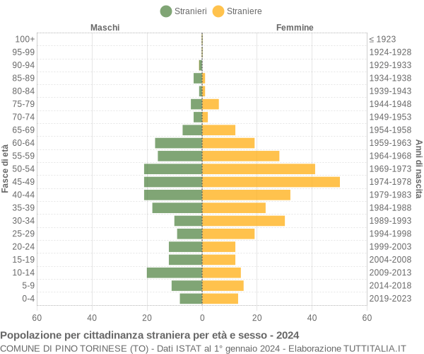 Grafico cittadini stranieri - Pino Torinese 2024