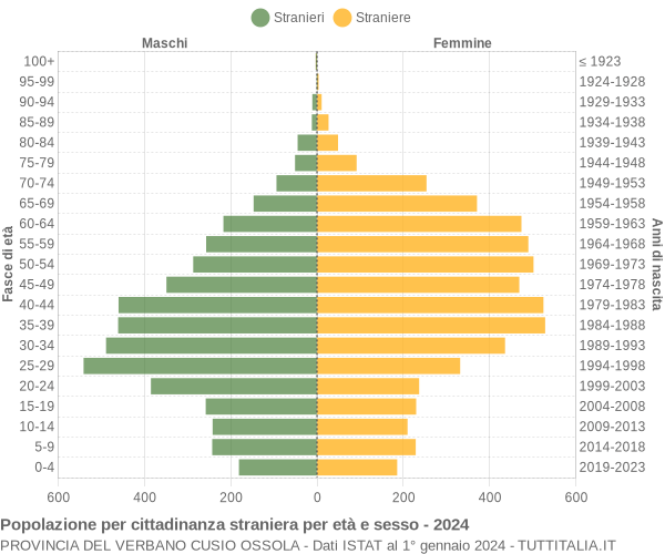 Grafico cittadini stranieri - 2024