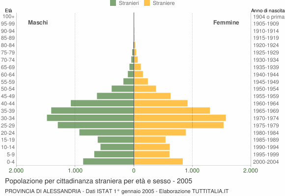 Grafico cittadini stranieri - 2005