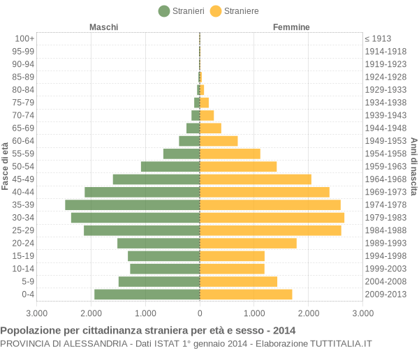 Grafico cittadini stranieri - 2014